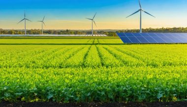 A panoramic view of Australian farmland with energy crops, wind turbines, and solar panels, symbolizing the future of bioenergy and renewable energy solutions.