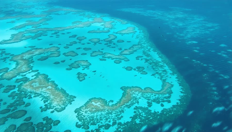 Colorful coral formations and fish in the Great Barrier Reef