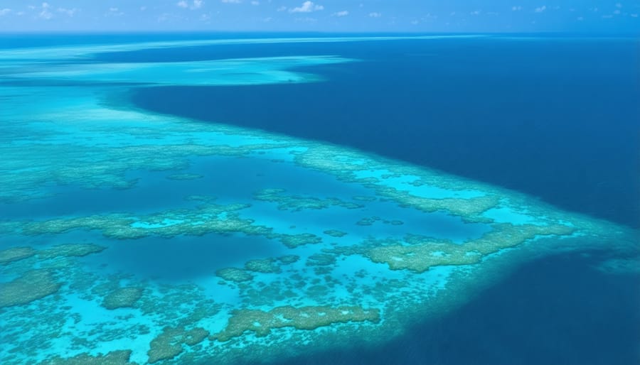 Vibrant coral reef ecosystem off Australian coast with diverse marine species