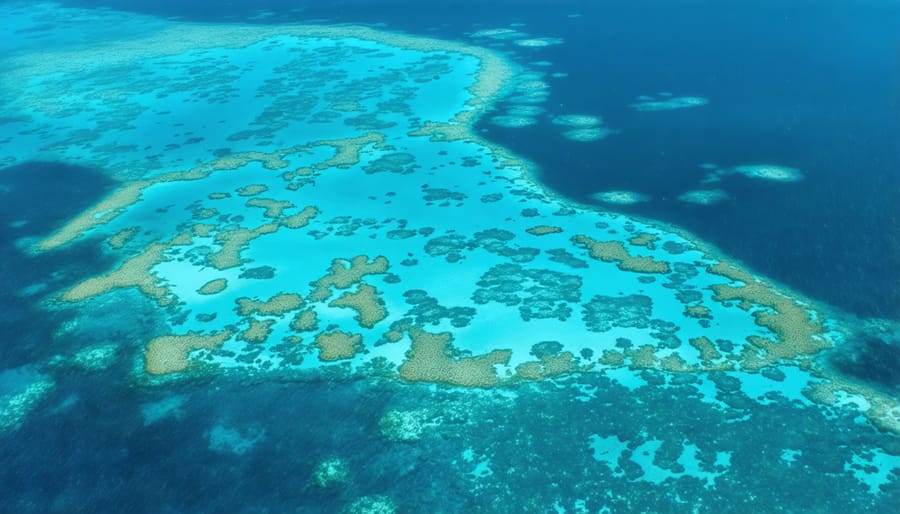 Aerial photograph of Australia's Great Barrier Reef displaying coral diversity and fish schools