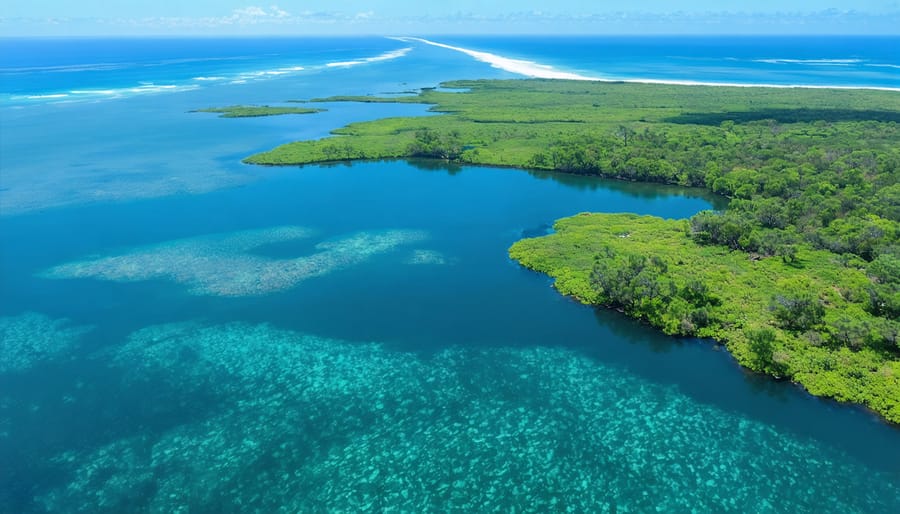 Aerial view showcasing Australia's diverse blue carbon ecosystems, including lush mangrove forests, expansive underwater seagrass meadows, and the vibrant blue coastal waters.