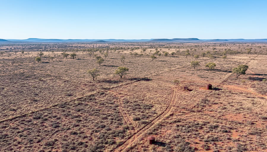 Wide view of dry Australian marginal farmland with sparse vegetation and cracked soil